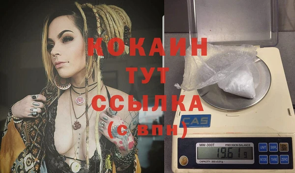 PSILOCYBIN Армянск