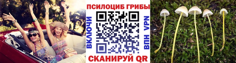 даркнет сайт  Переславль-Залесский  Галлюциногенные грибы ЛСД 