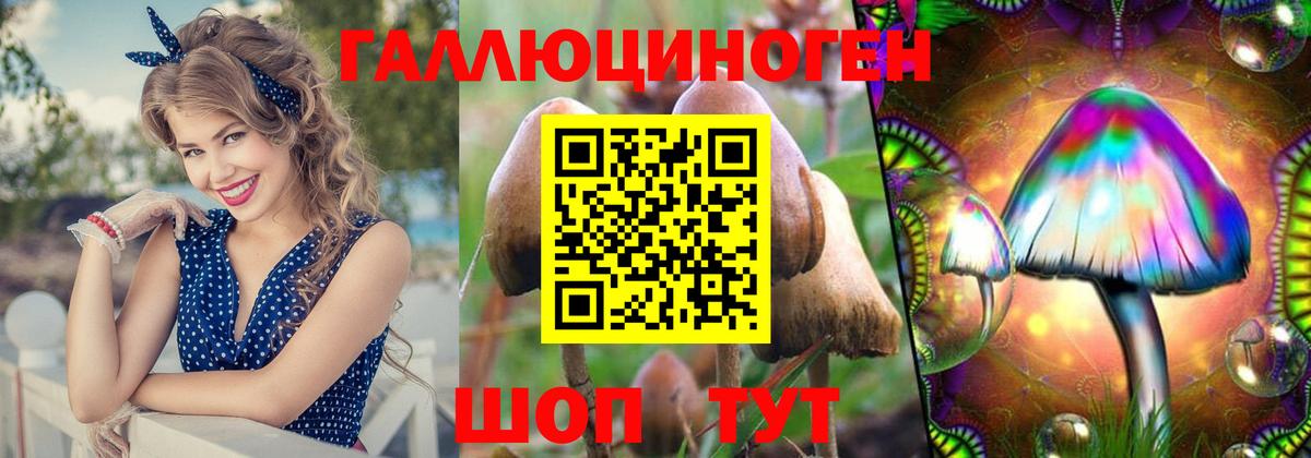 Псилоцибиновые грибы мухоморы  Вход с VPN  Переславль-Залесский 